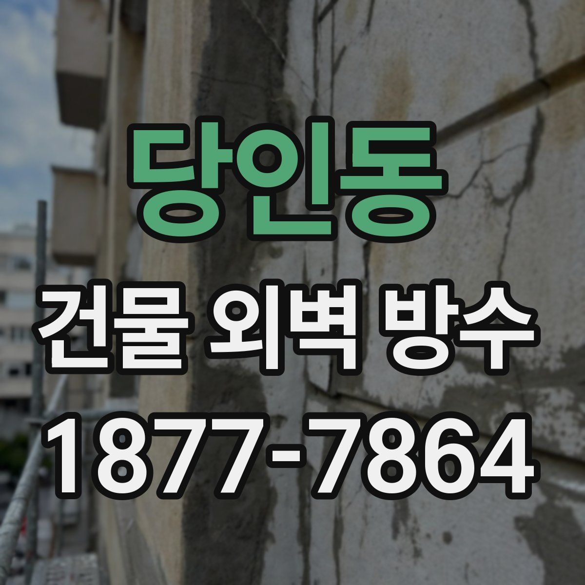 당인동 건물 외벽 방수