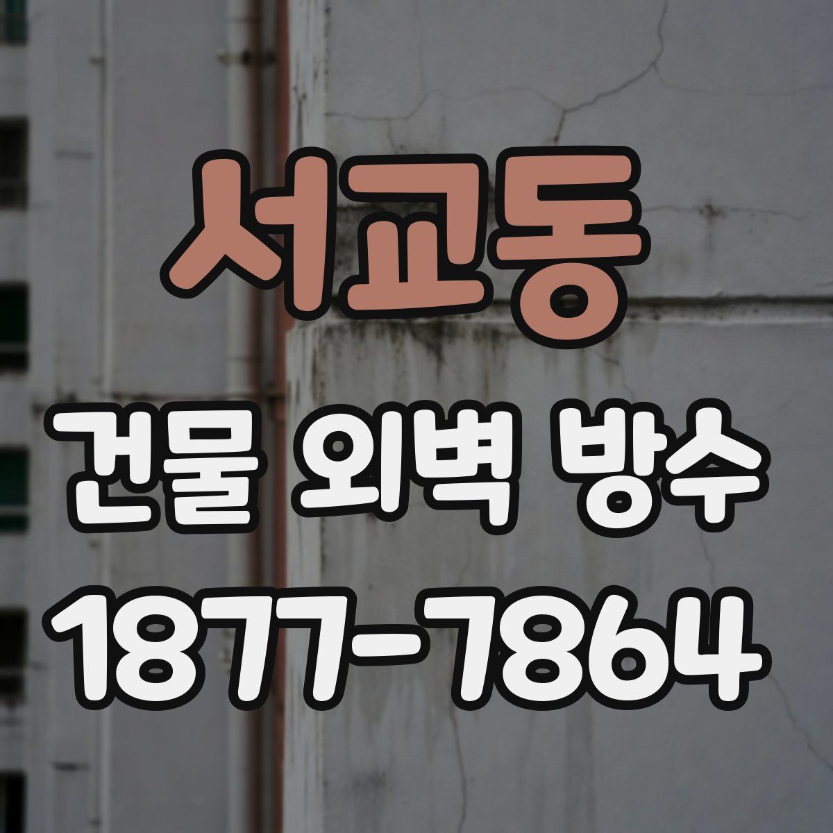 서교동 건물 외벽 방수