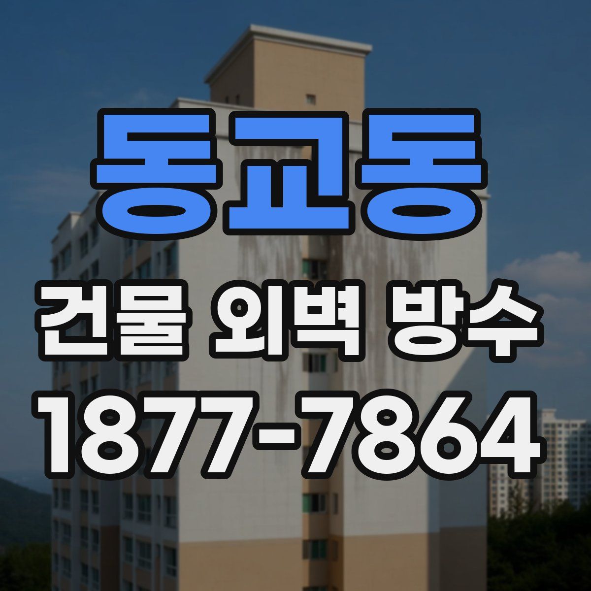 동교동 건물 외벽 방수