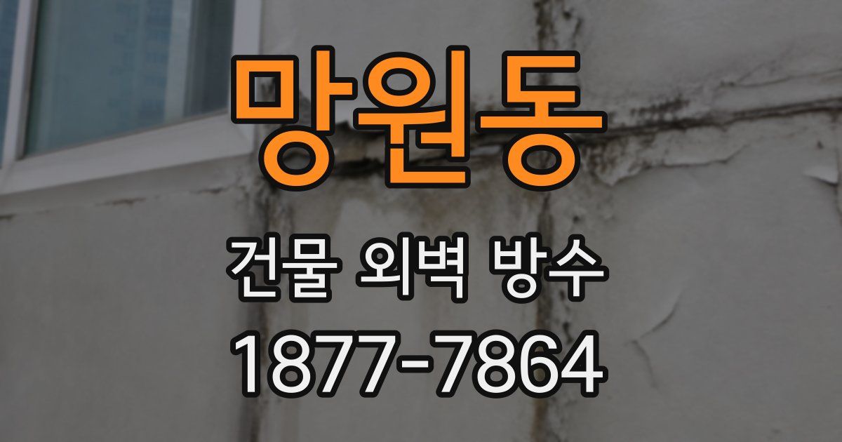 망원동 건물 외벽 방수