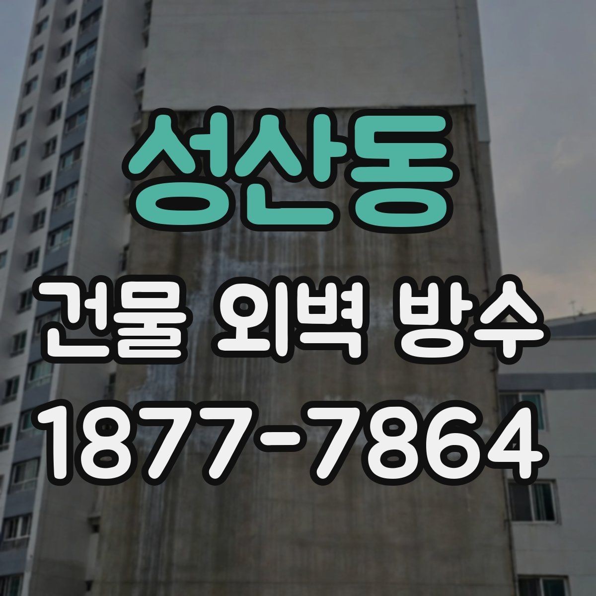 성산동 건물 외벽 방수 하도와 상도 작업의 차이