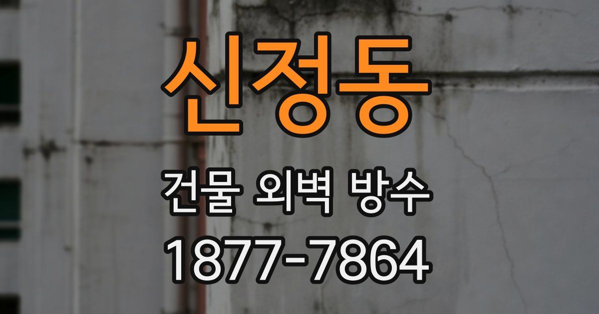 신정동 건물 외벽 방수