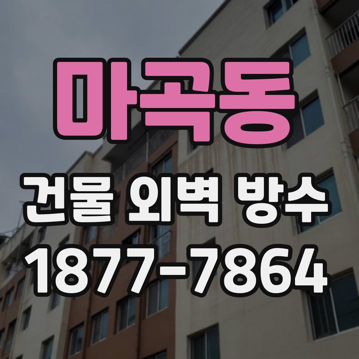 마곡동 건물 외벽 방수