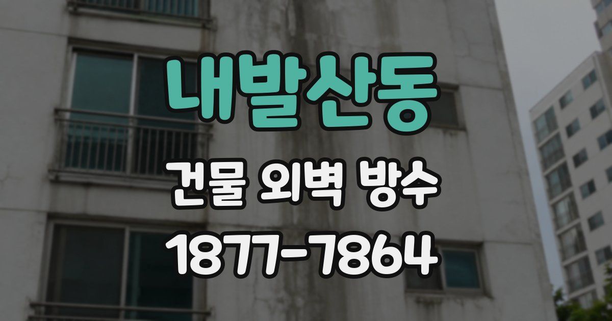 내발산동 건물 외벽 방수