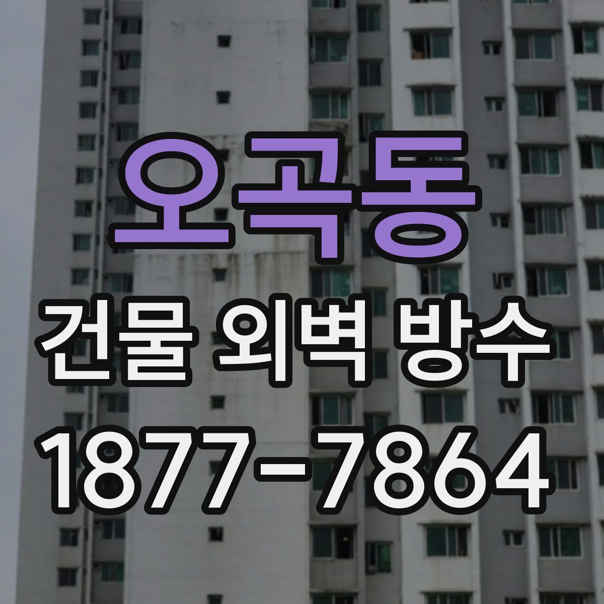 오곡동 건물 외벽 방수