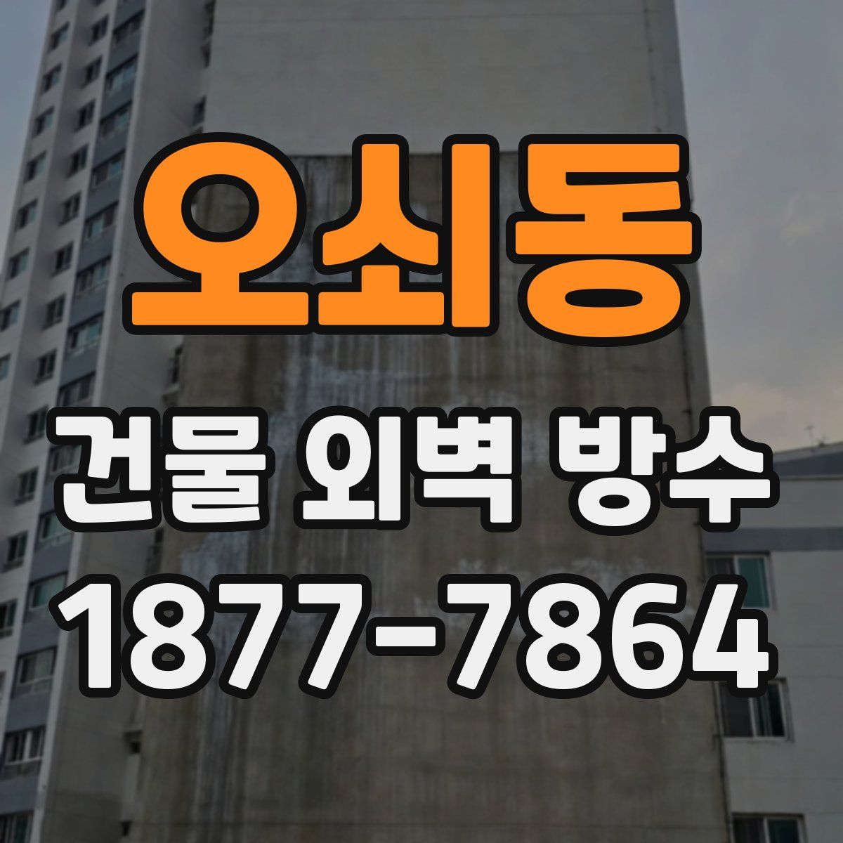 오쇠동 건물 외벽 방수