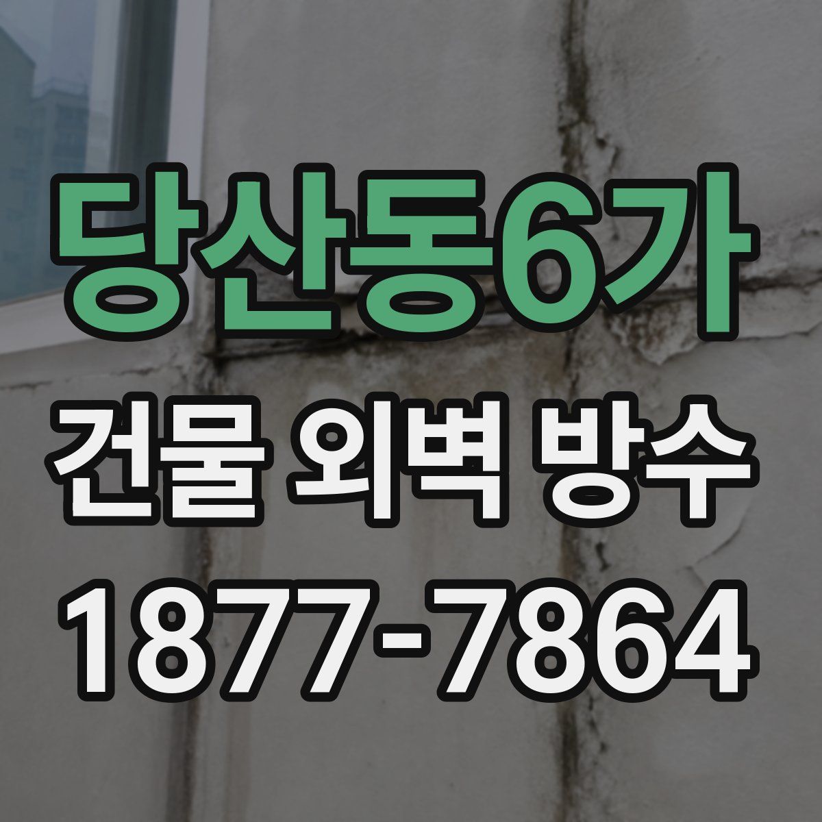 당산동6가 건물 외벽 방수