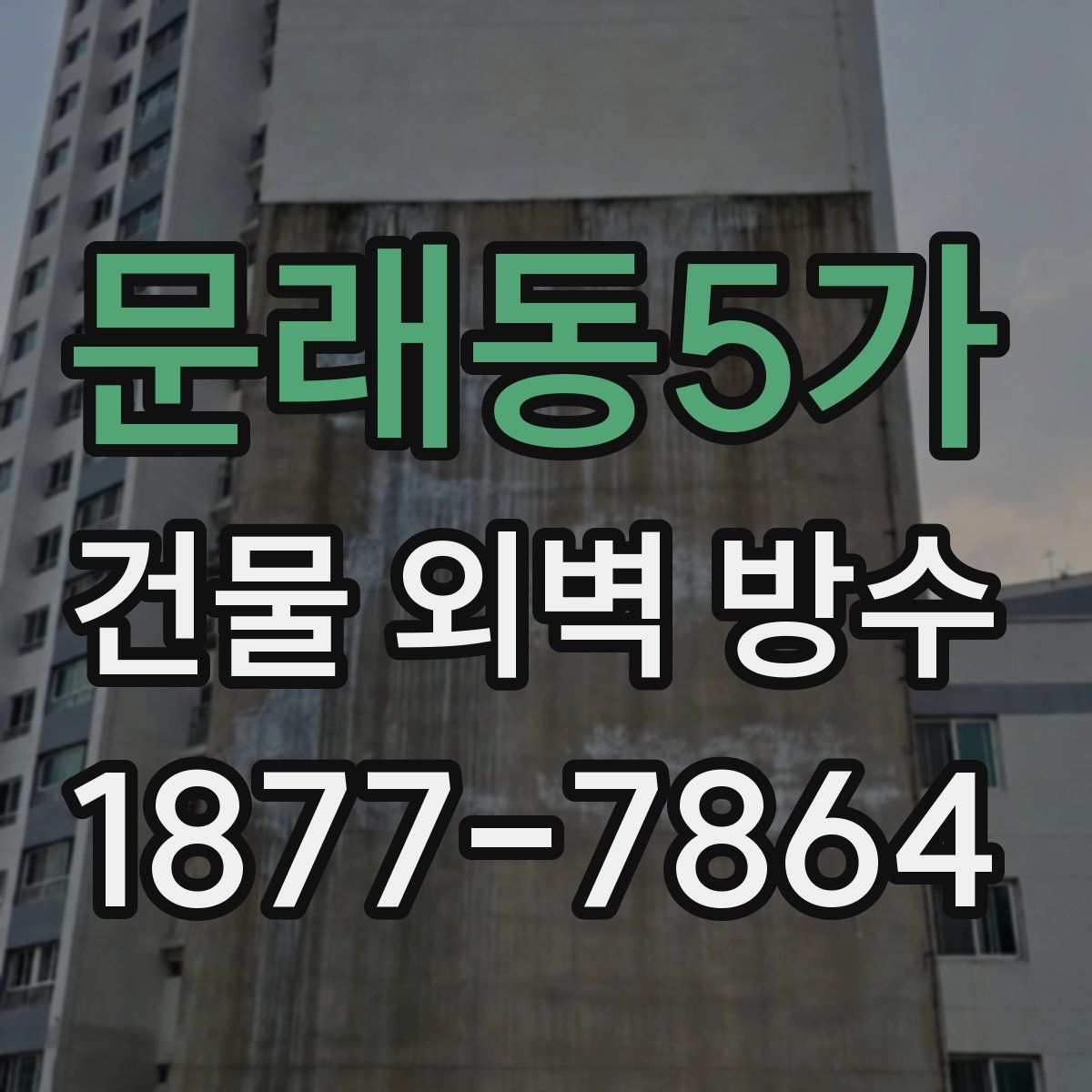 문래동5가 건물 외벽 방수