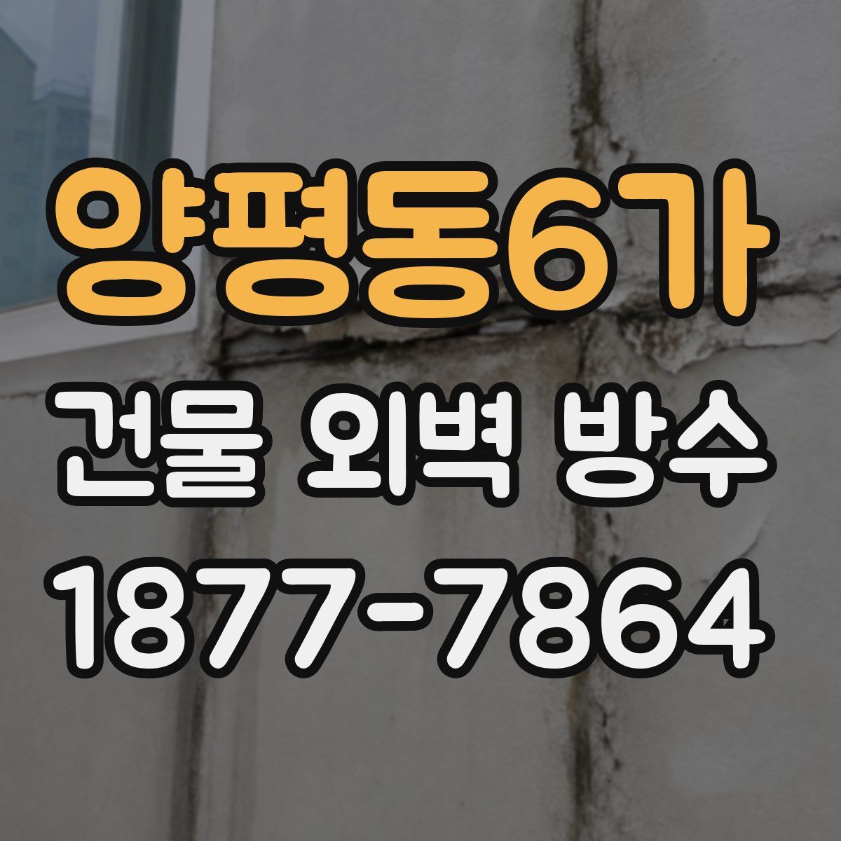 양평동6가 건물 외벽 방수