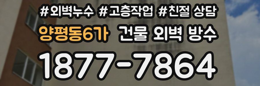 양평동6가 건물 외벽 방수