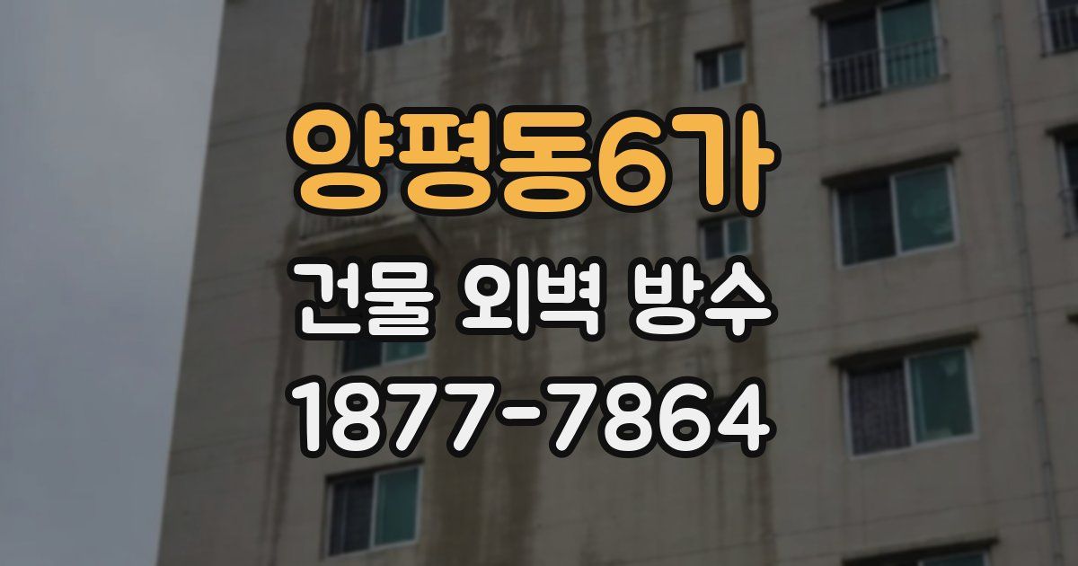 양평동6가 건물 외벽 방수