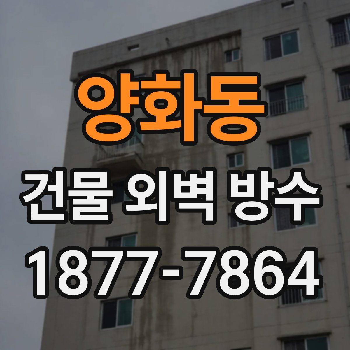 양화동 건물 외벽 방수