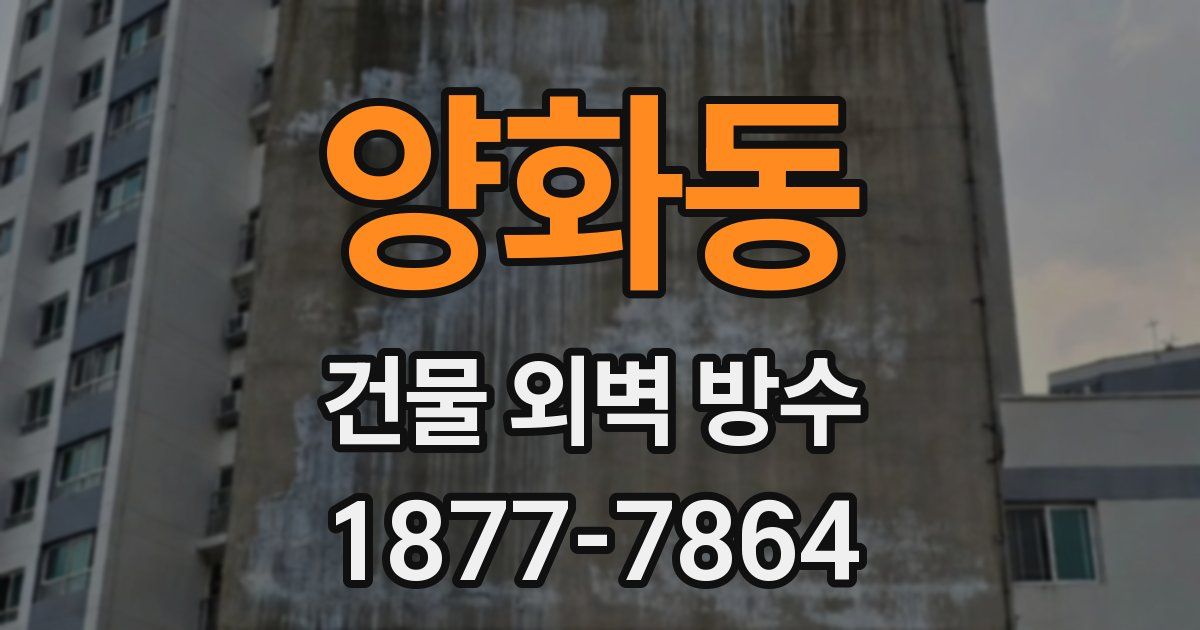 양화동 건물 외벽 방수