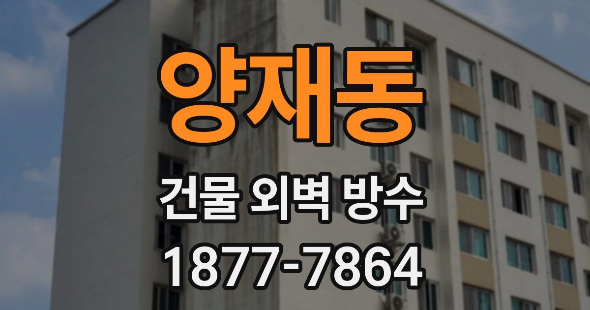 양재동 건물 외벽 방수