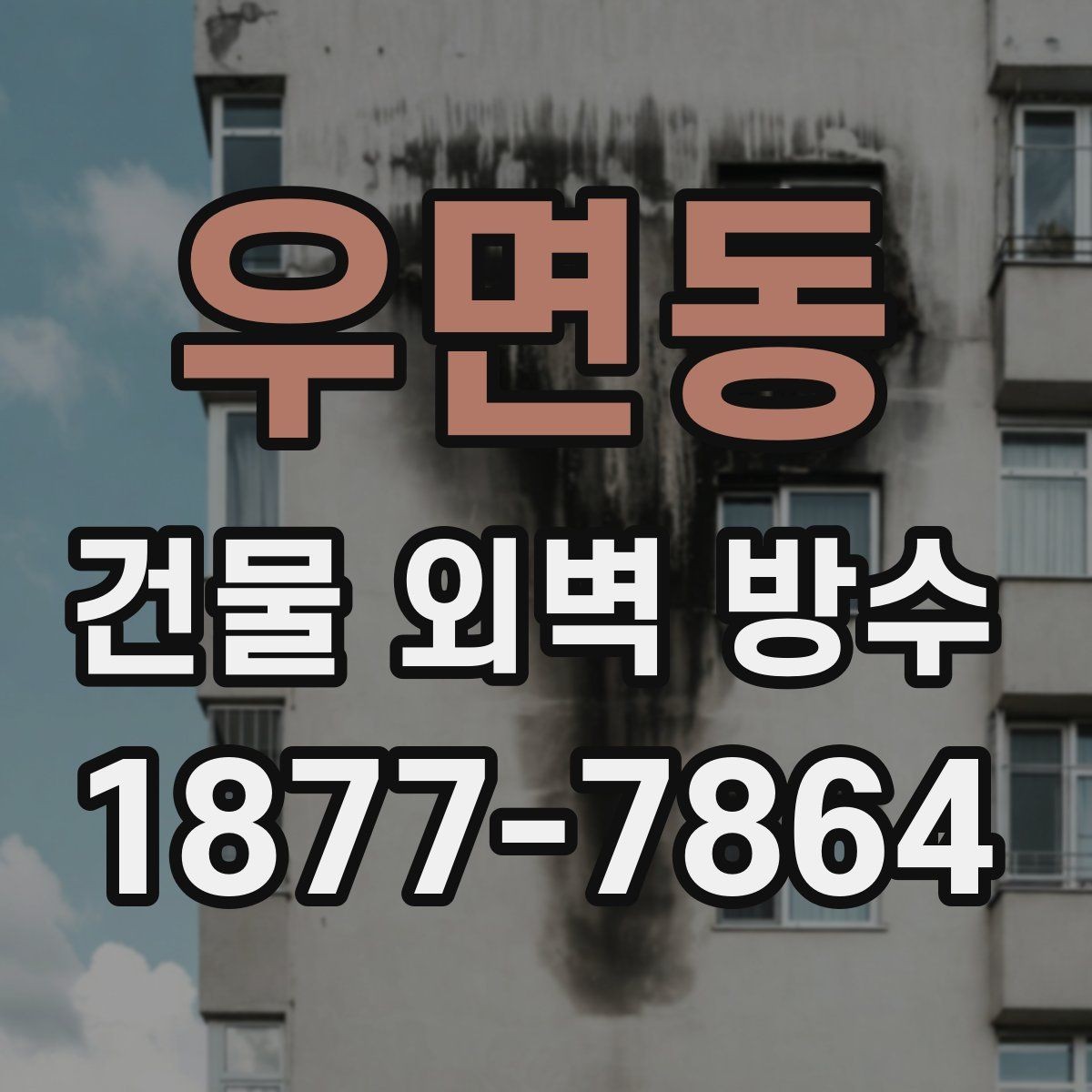 우면동 건물 외벽 방수 외벽 크랙 보수와 방수의 관계