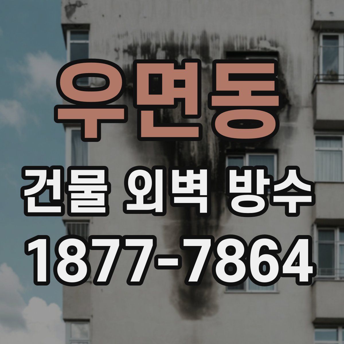 우면동 건물 외벽 방수