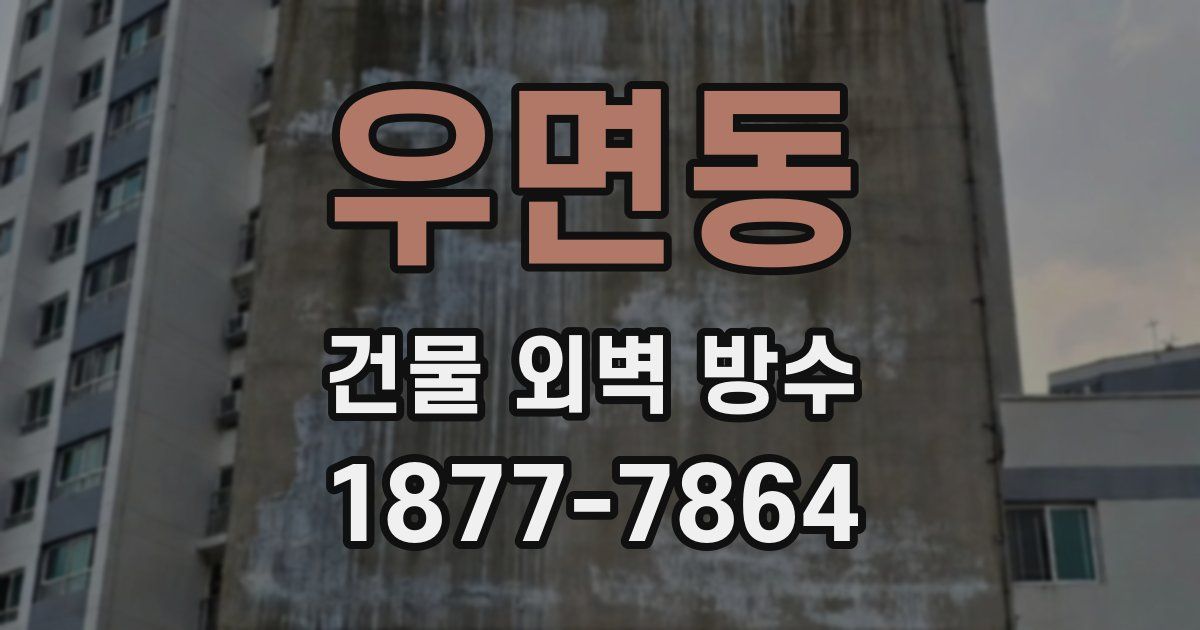 우면동 건물 외벽 방수