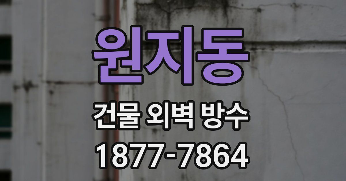 원지동 건물 외벽 방수