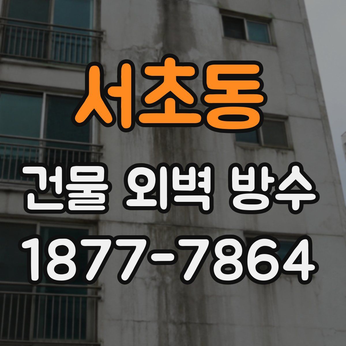 서초동 건물 외벽 방수