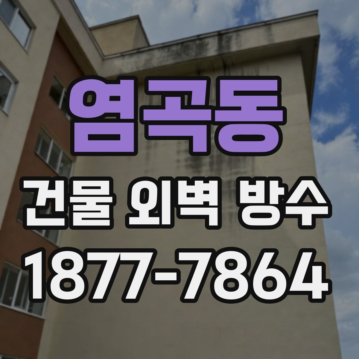 염곡동 건물 외벽 방수