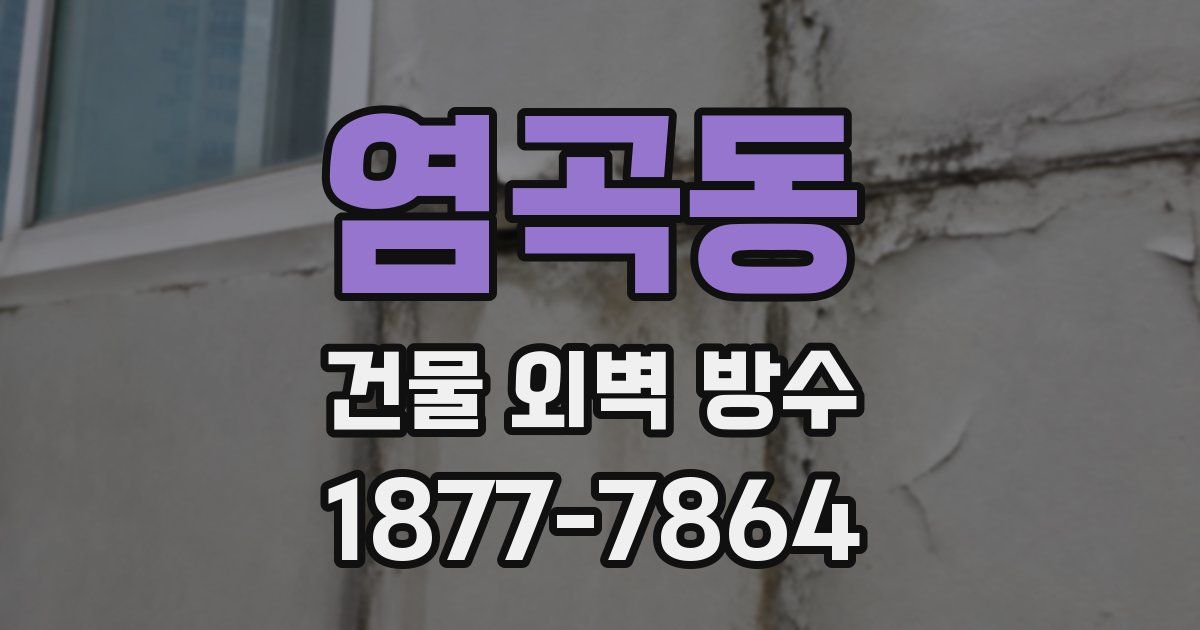 염곡동 건물 외벽 방수