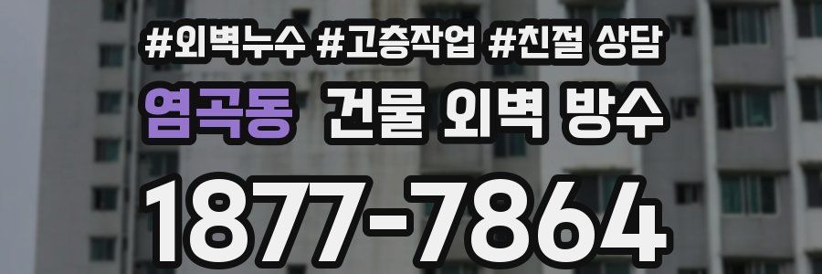 염곡동 건물 외벽 방수