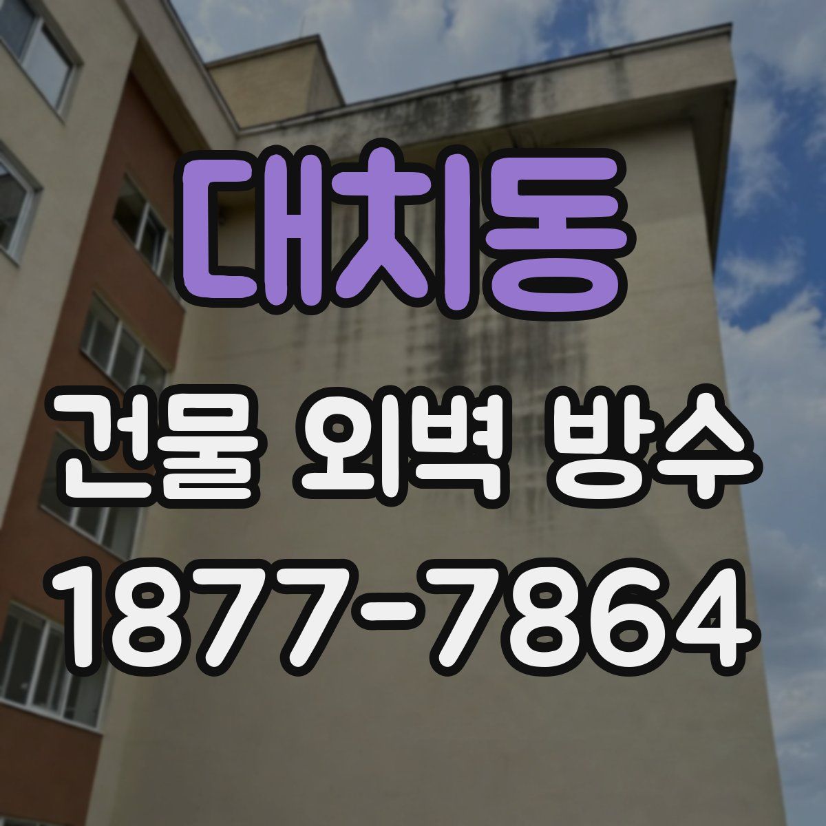 대치동 건물 외벽 방수