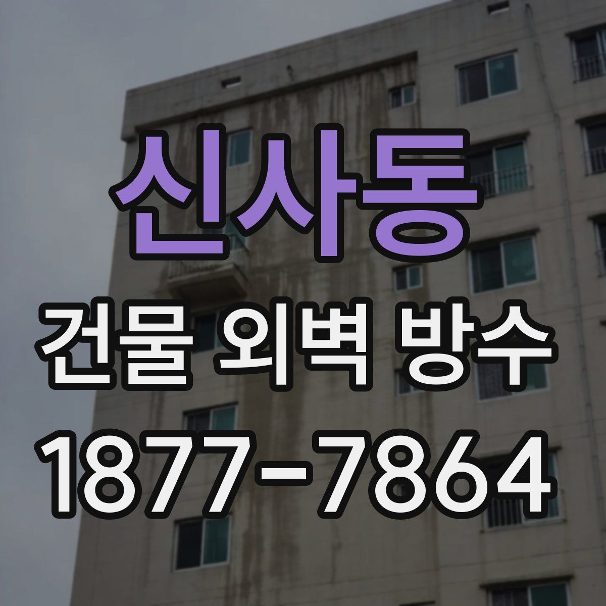 신사동 건물 외벽 방수