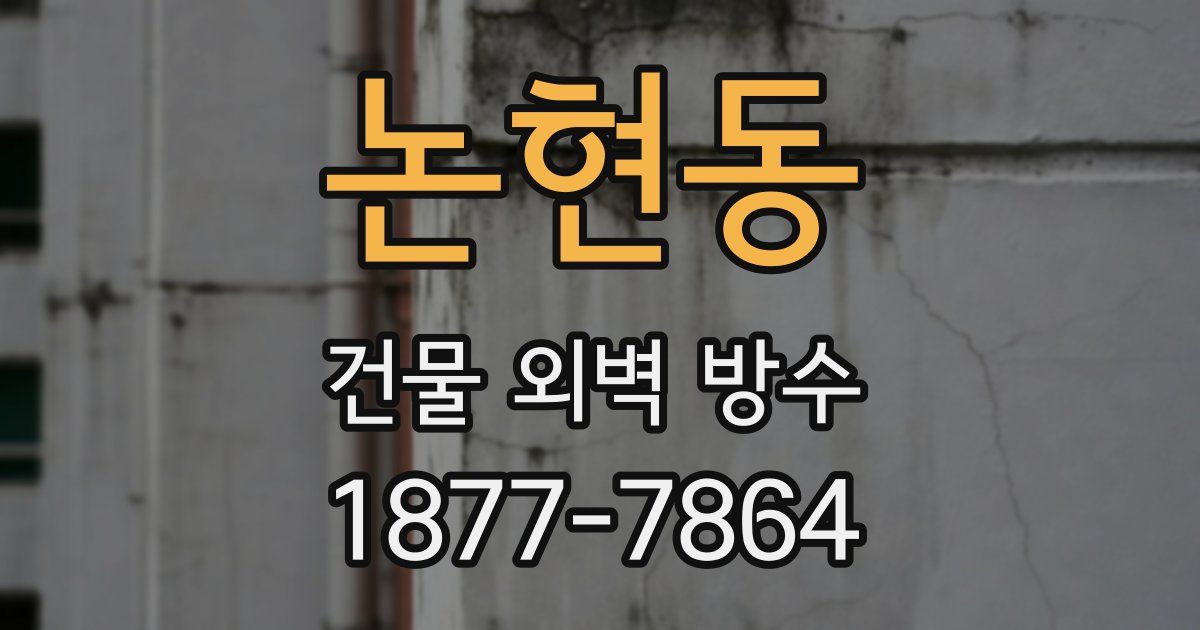 논현동 건물 외벽 방수
