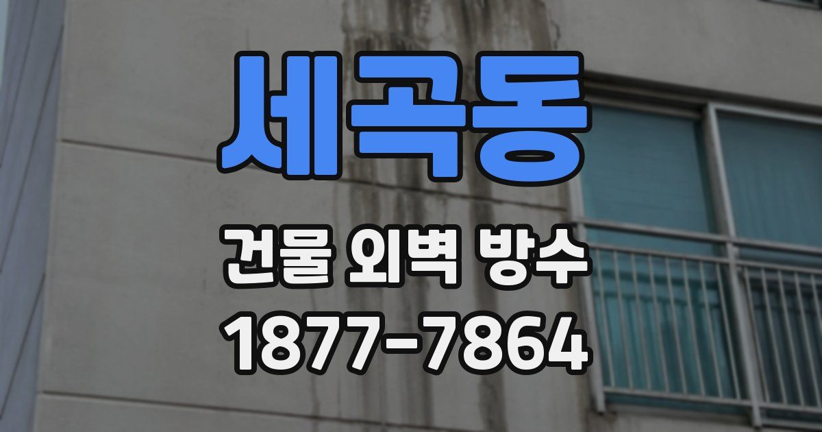 세곡동 건물 외벽 방수