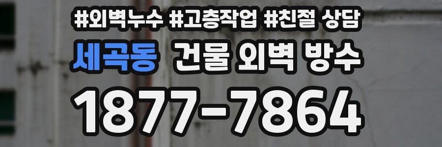 세곡동 건물 외벽 방수