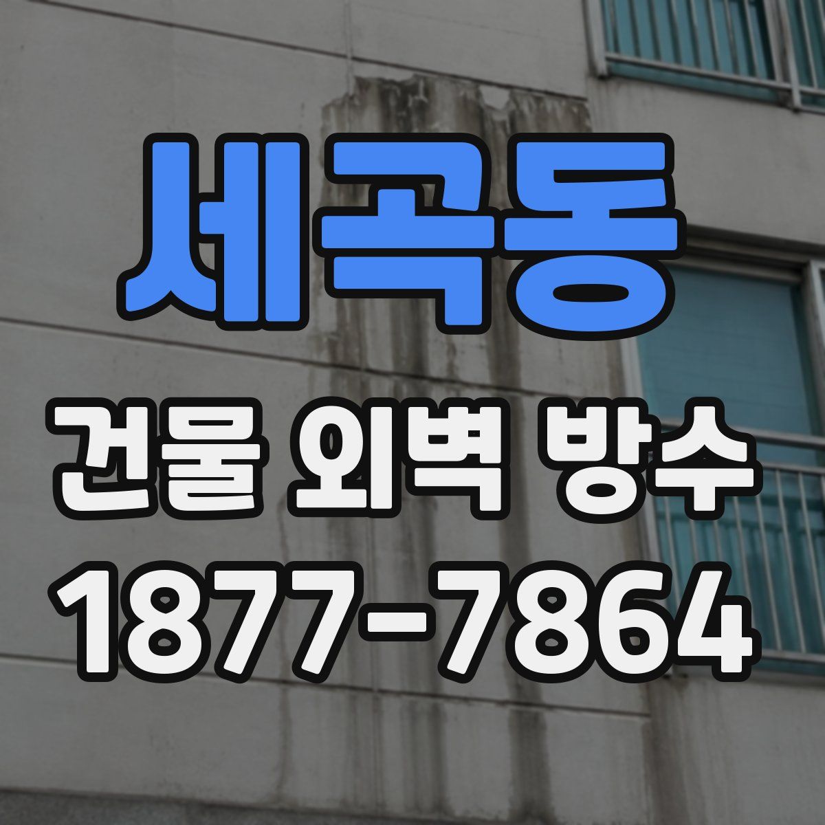 세곡동 건물 외벽 방수