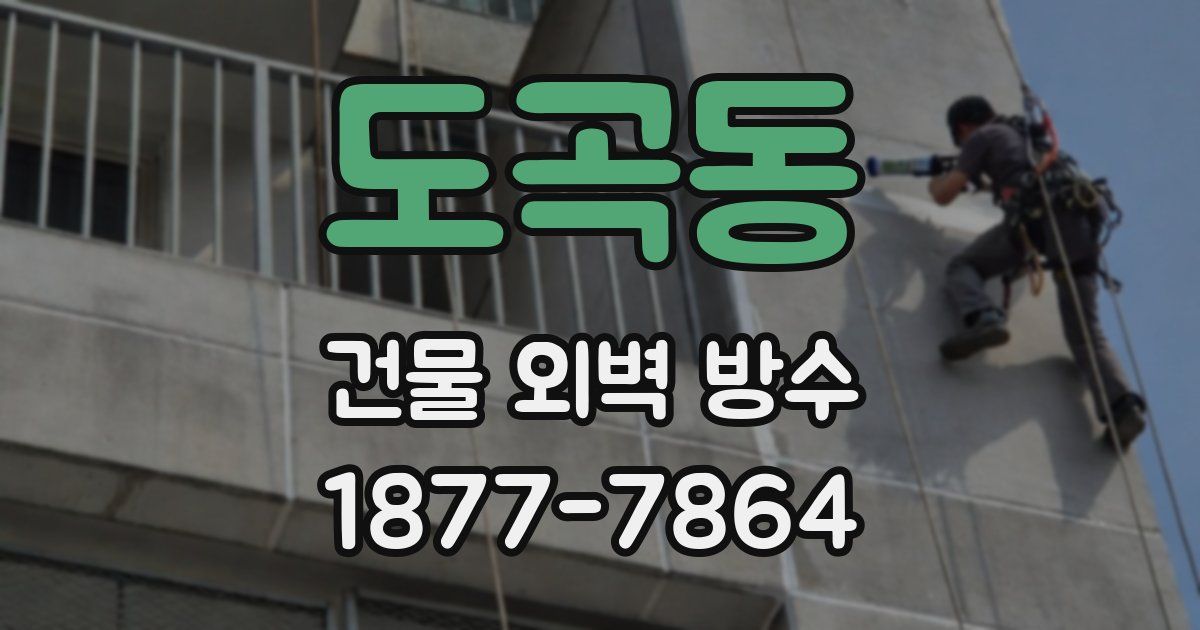 도곡동 건물 외벽 방수