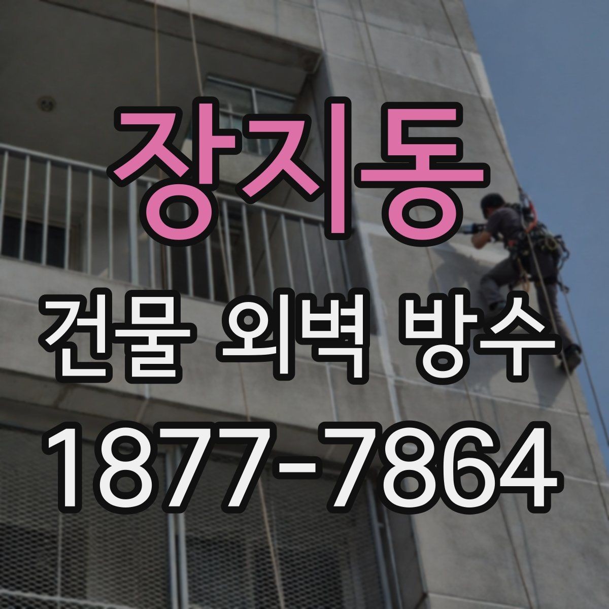 장지동 건물 외벽 방수 하도와 상도 작업의 차이