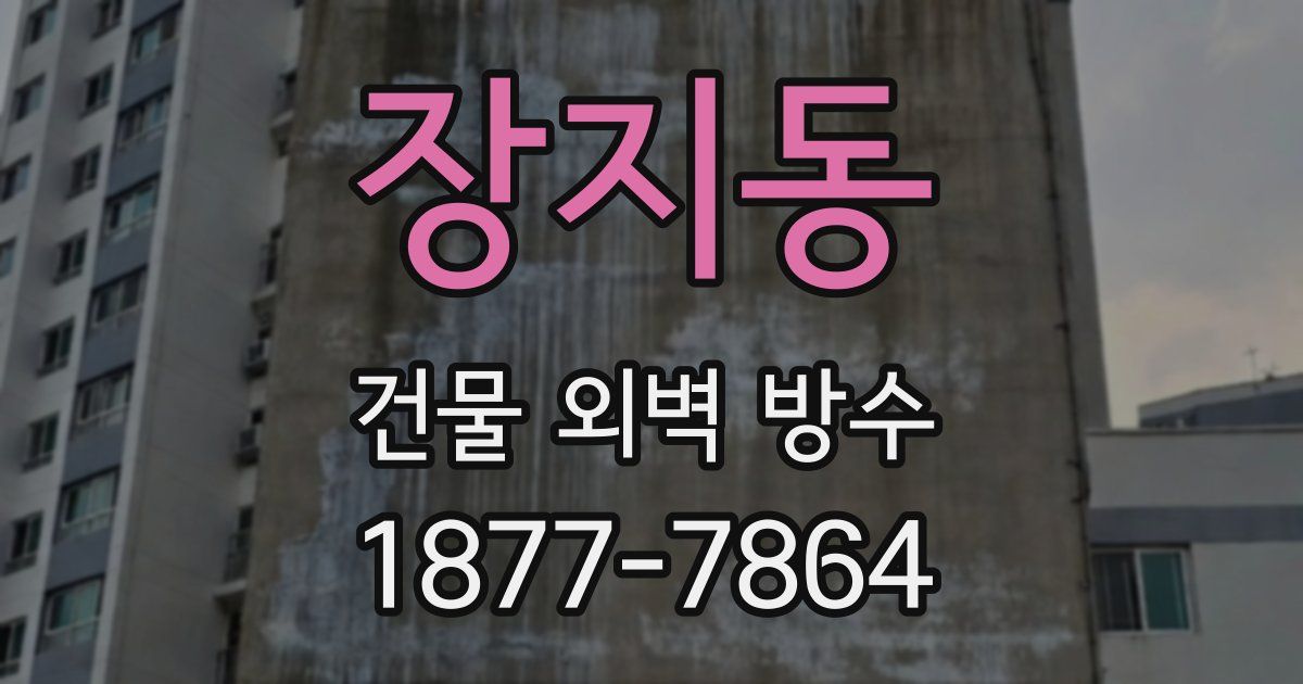 장지동 건물 외벽 방수