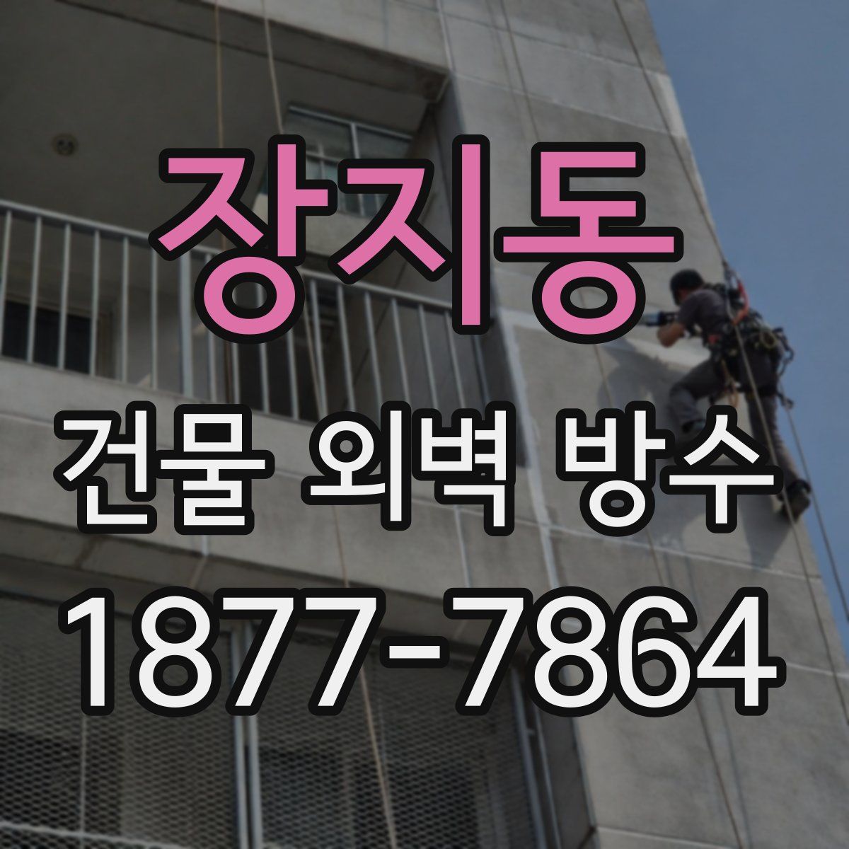 장지동 건물 외벽 방수