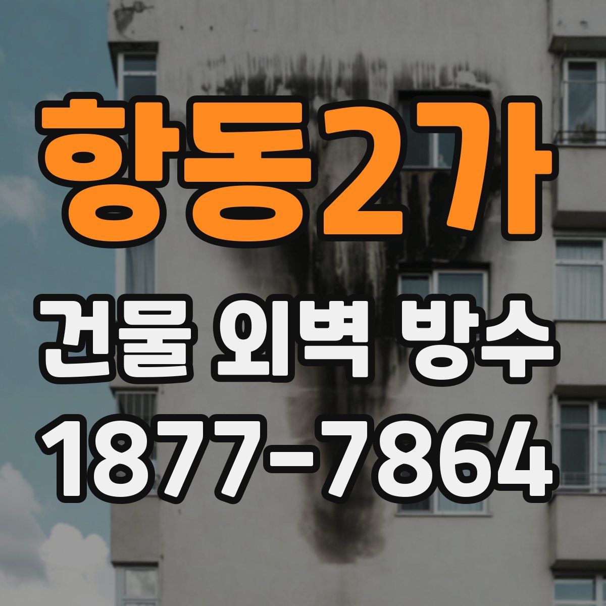 항동2가 건물 외벽 방수