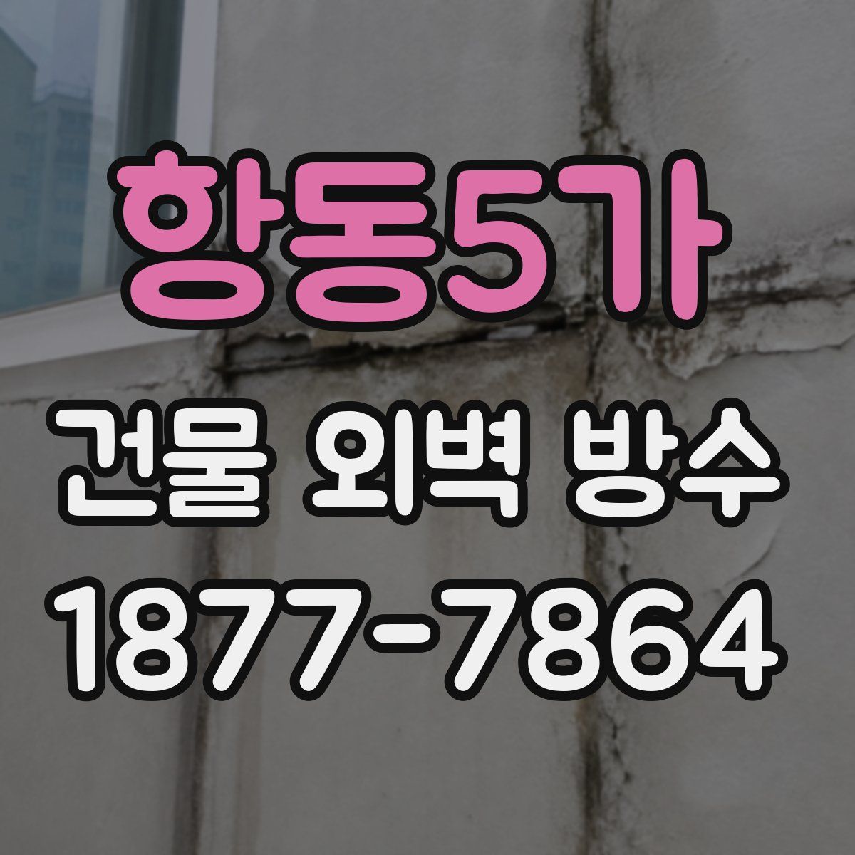 항동5가 건물 외벽 방수