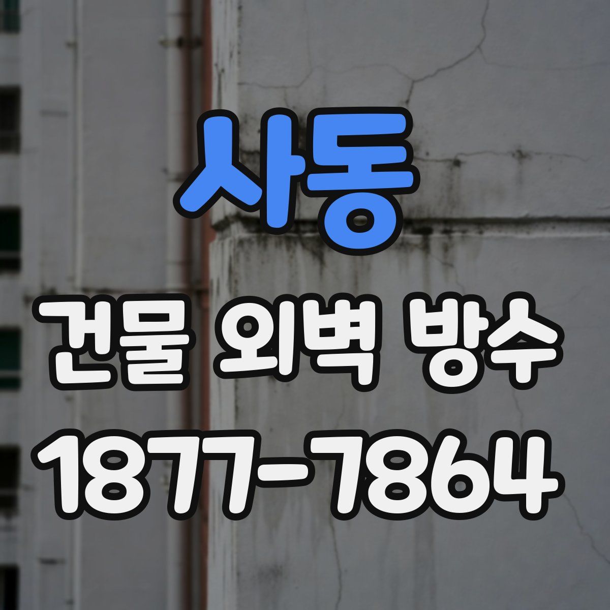 사동 건물 외벽 방수