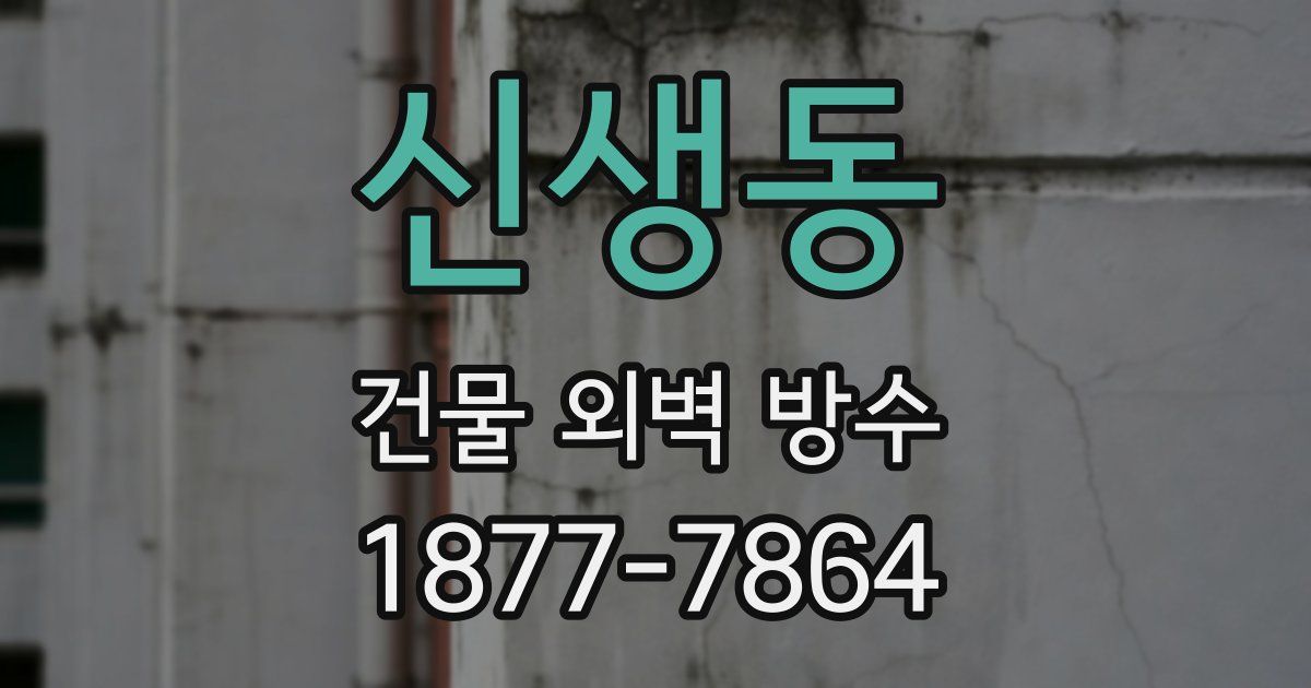 신생동 건물 외벽 방수