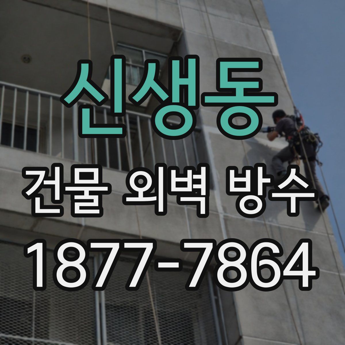 신생동 건물 외벽 방수