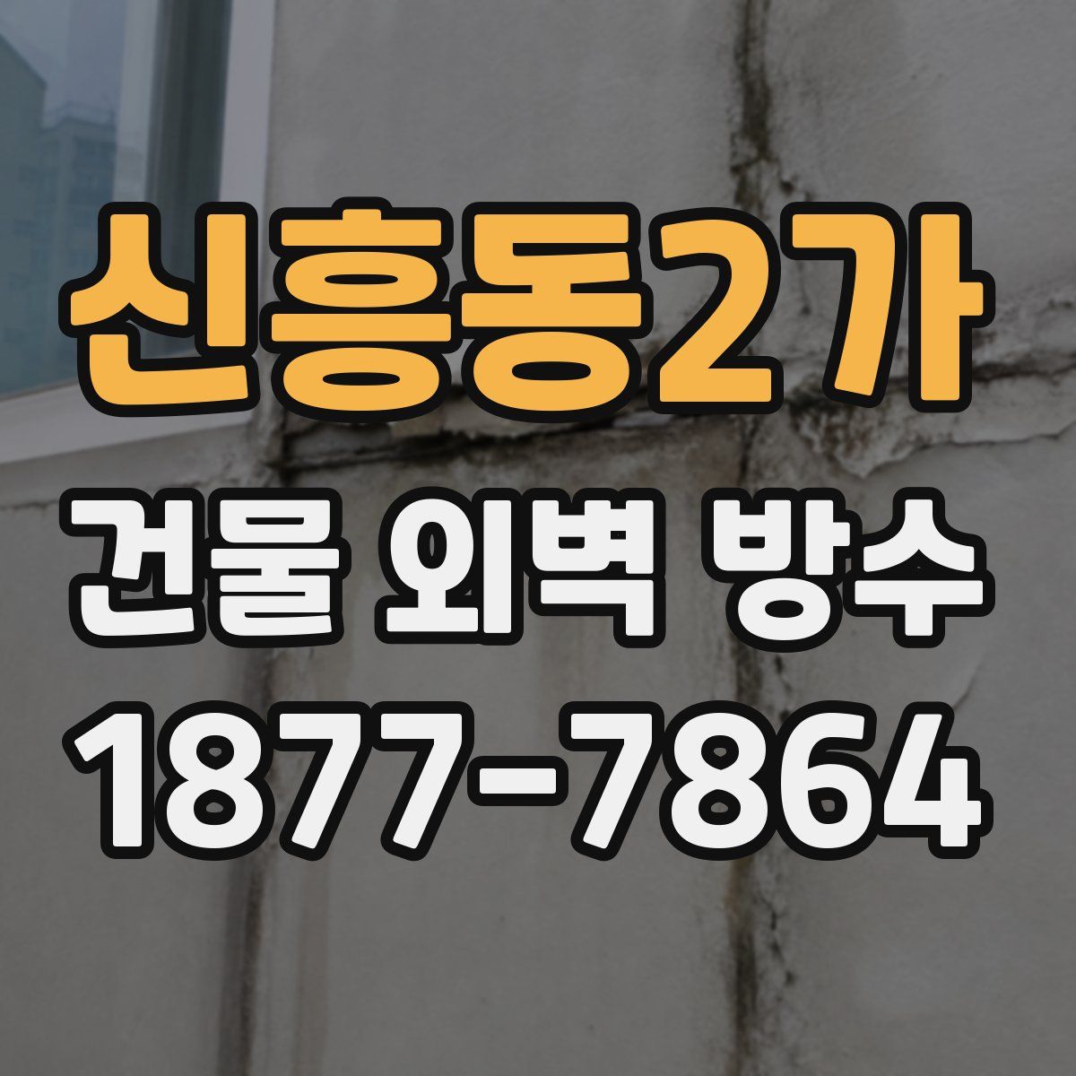 신흥동2가 건물 외벽 방수