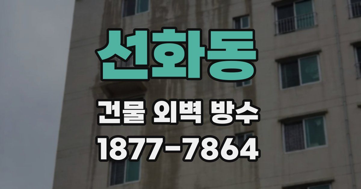 선화동 건물 외벽 방수