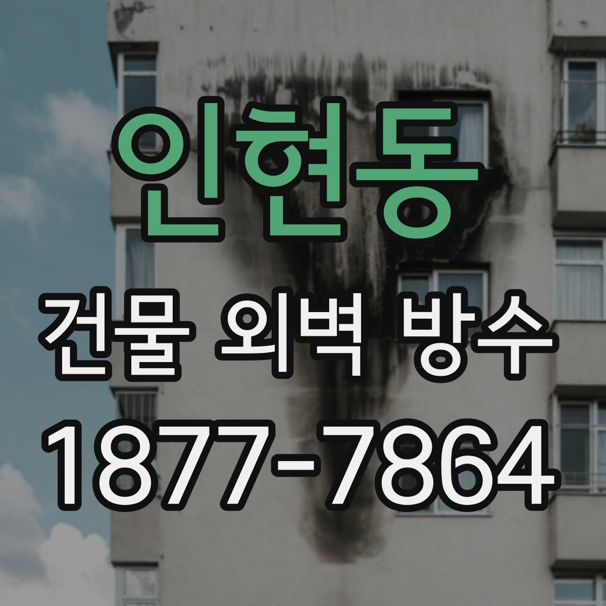 인현동 건물 외벽 방수