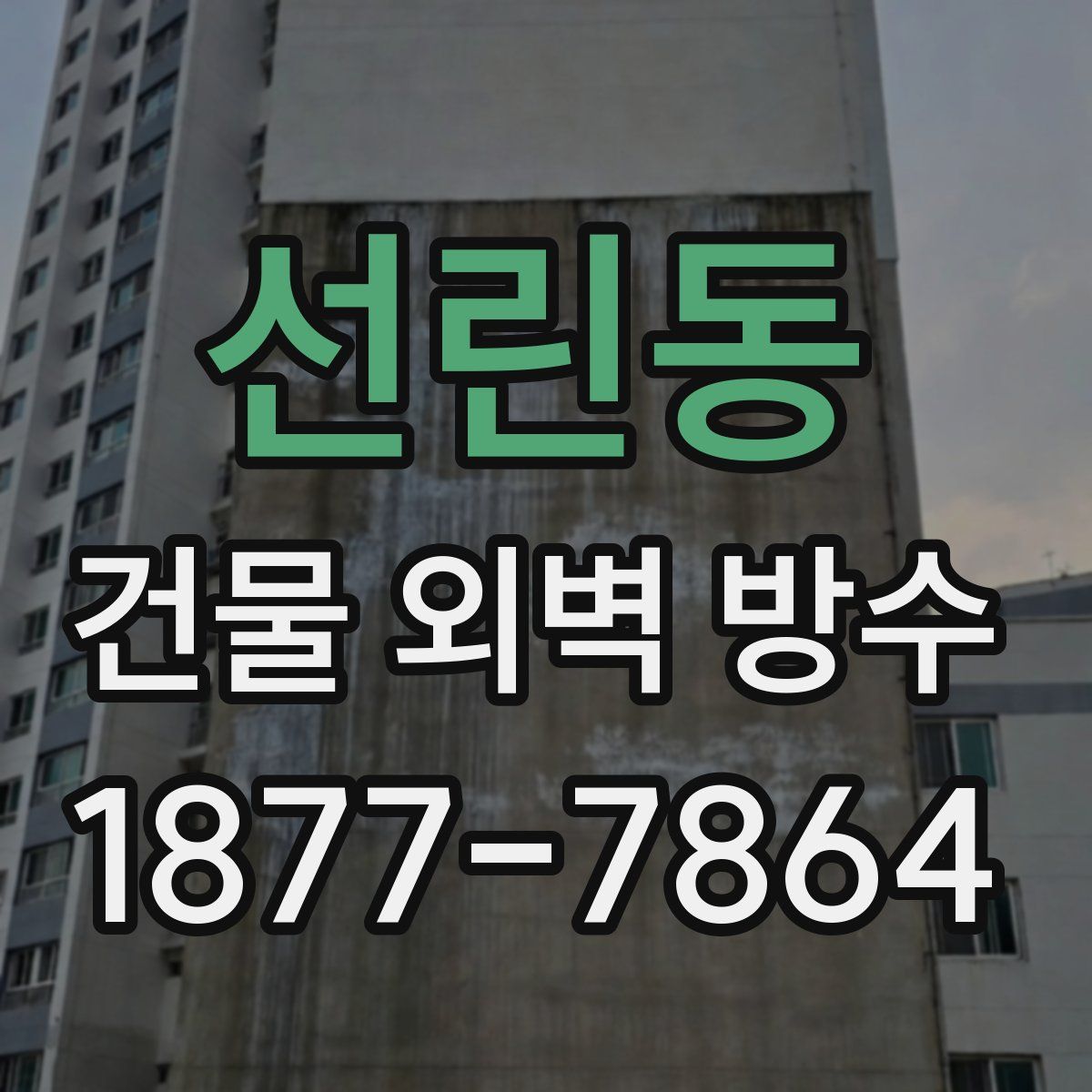 선린동 건물 외벽 방수