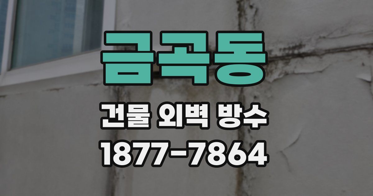 금곡동 건물 외벽 방수