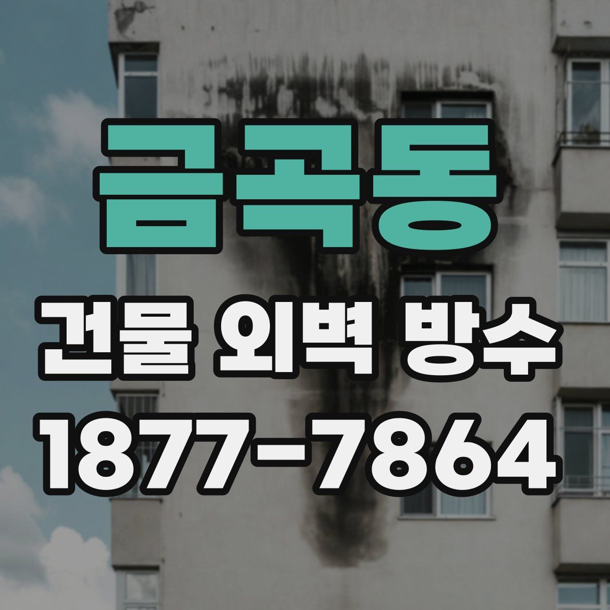 금곡동 건물 외벽 방수