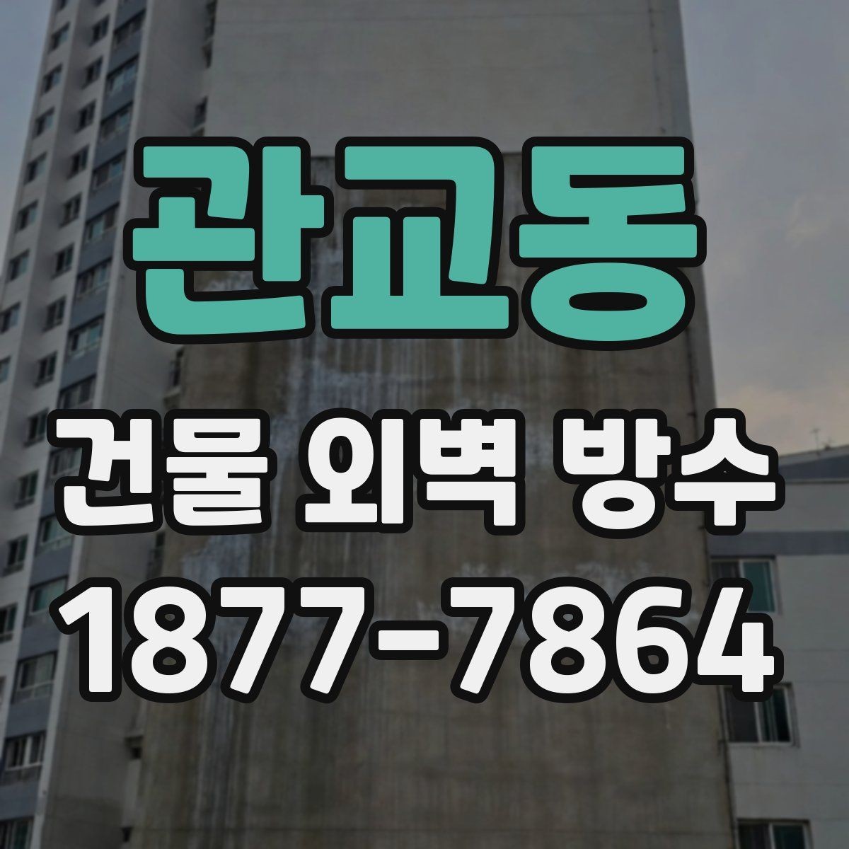 관교동 건물 외벽 방수 업체 선택 기준