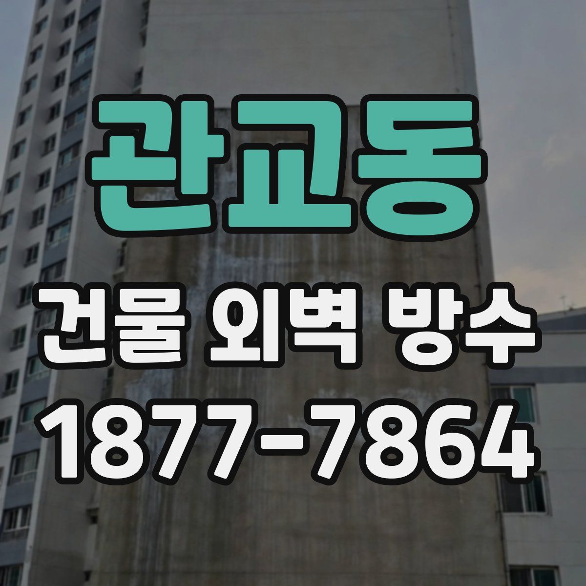 관교동 건물 외벽 방수