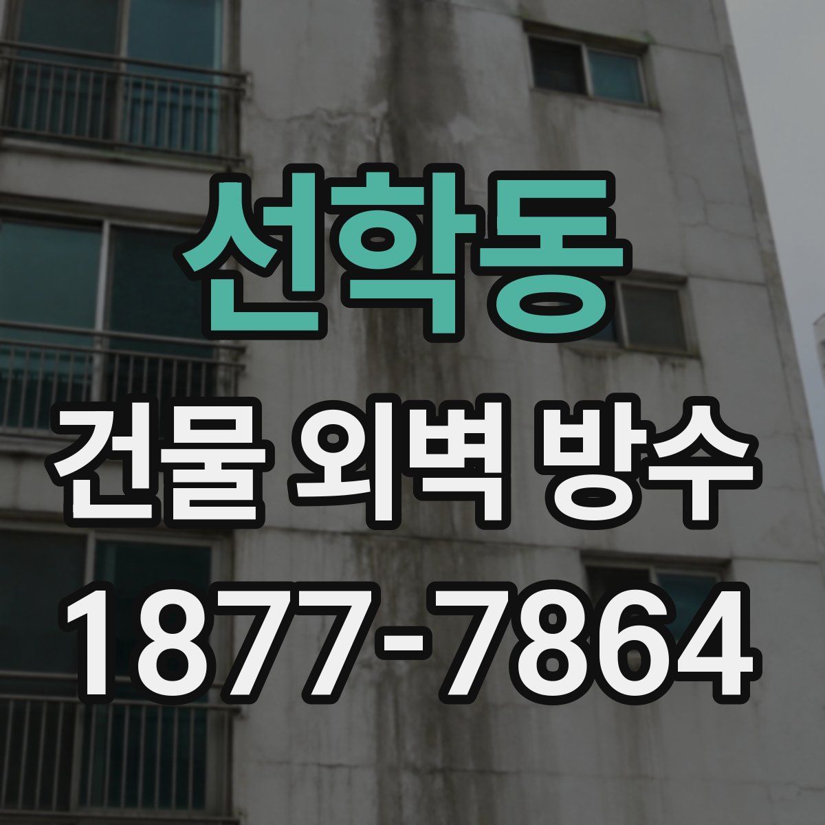 선학동 건물 외벽 방수